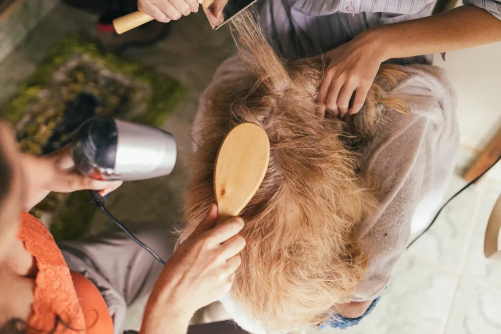 A modern Wigan dog grooming salon with skilled groomers ensuring your furry friend looks their best. Comfortable waiting area, top-quality care, and a welcoming atmosphere for pet owners.




