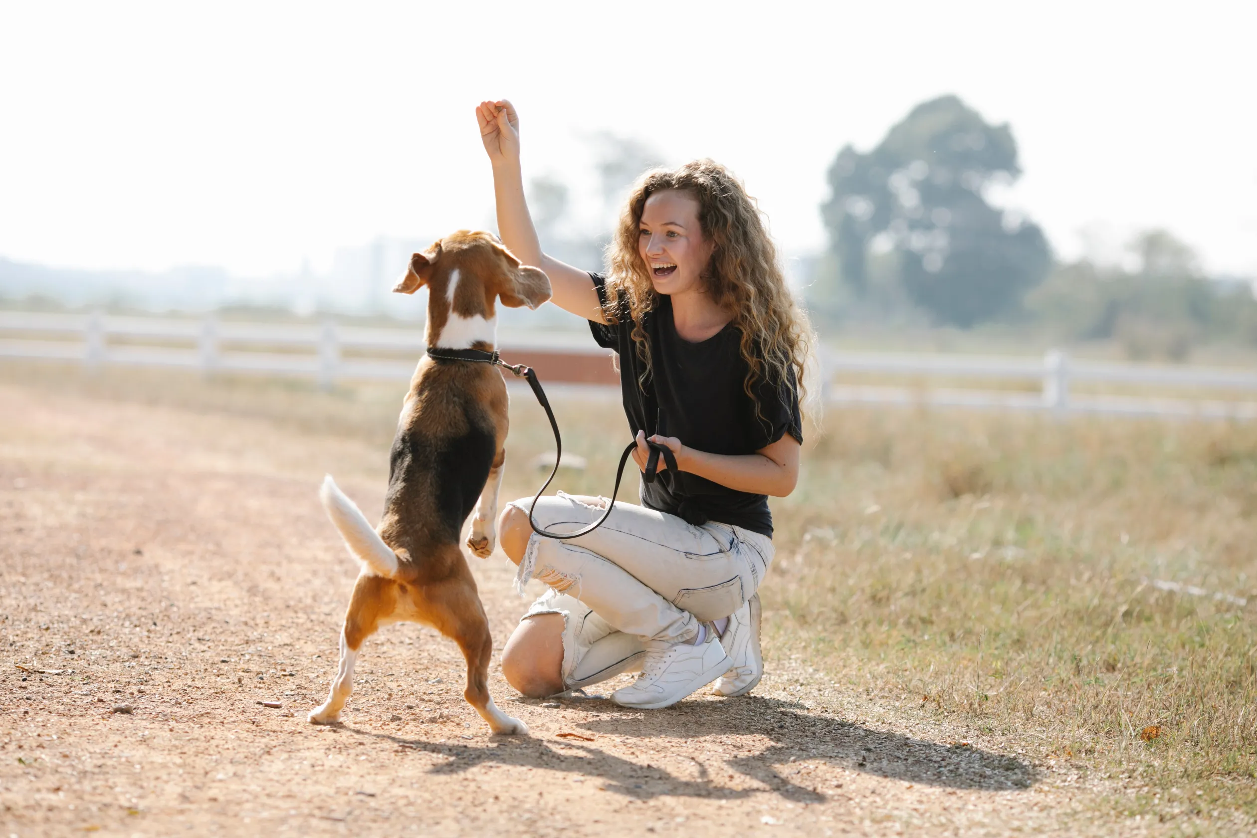 Pet Training in Pyjamas