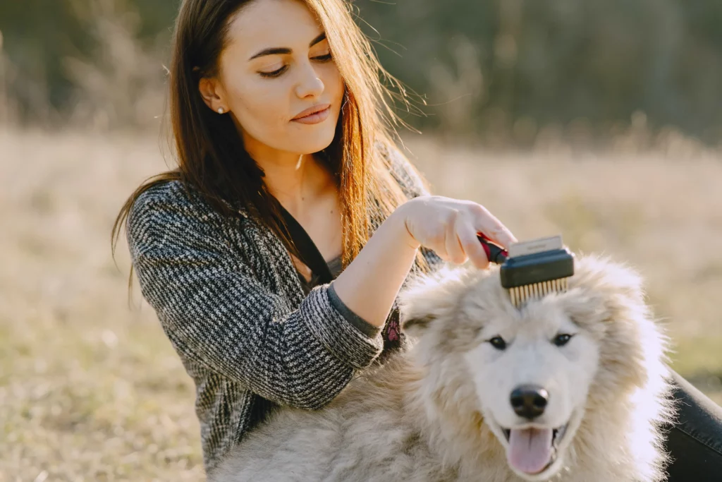 Liverpool dog grooming salon with professional groomers tending to dogs in a stylish and inviting setting.