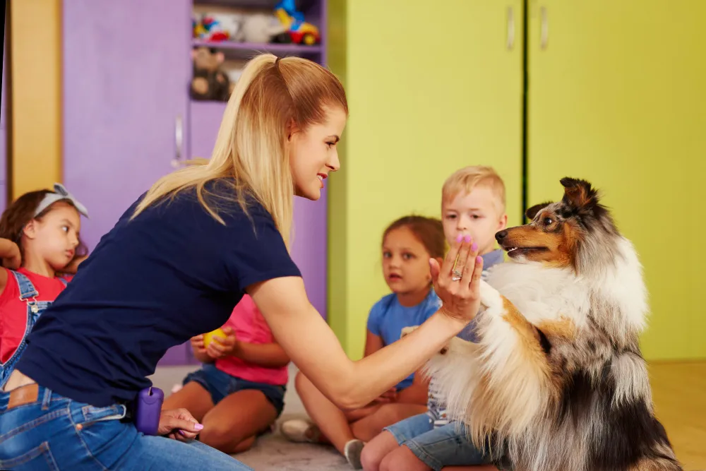 Puppy Daycare in London