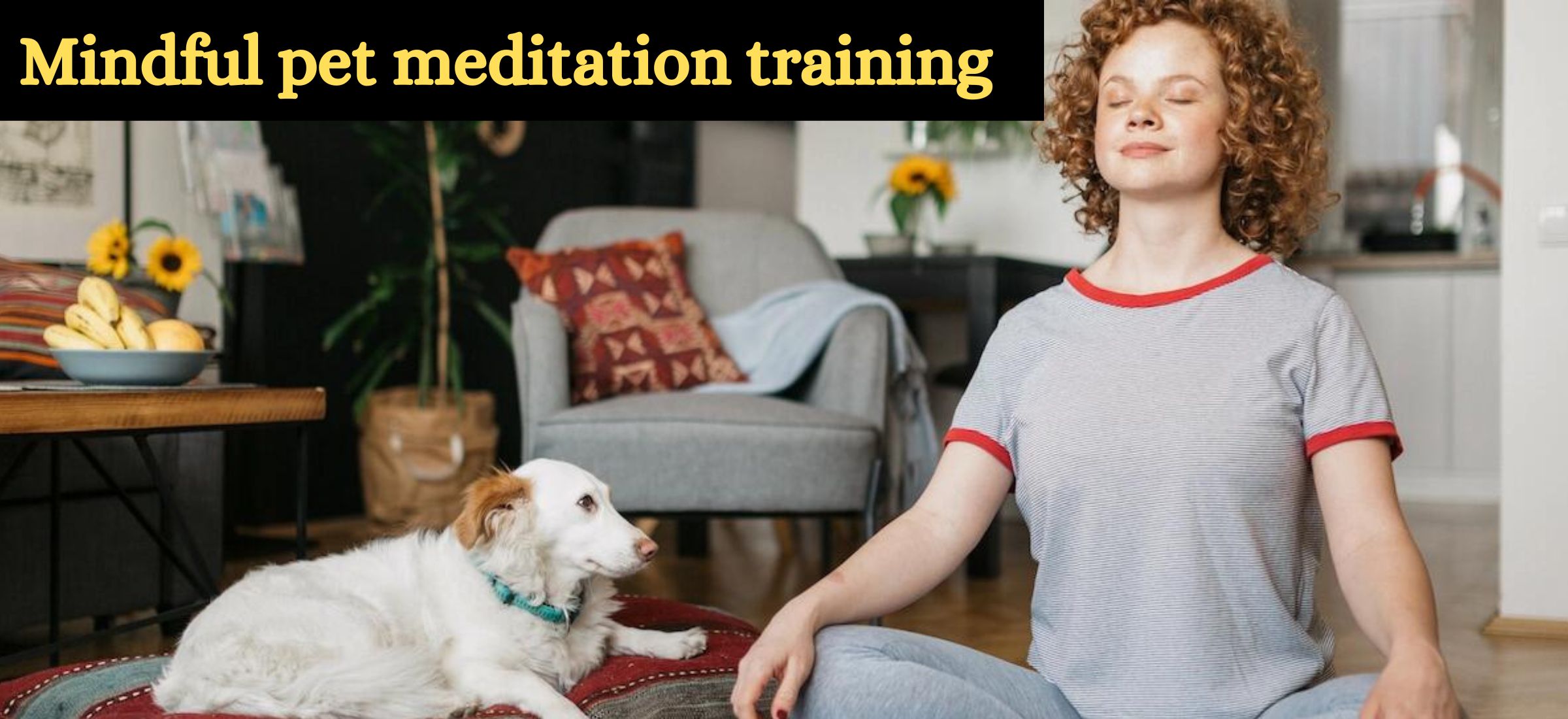 Mindful pet meditation training